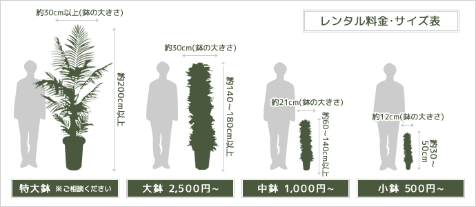 観葉植物のレンタル　料金・サイズ表